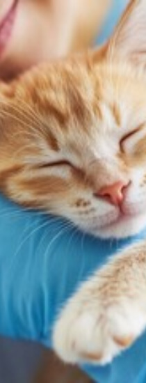 Genel Sağlık Kontrolleri ve Muayene